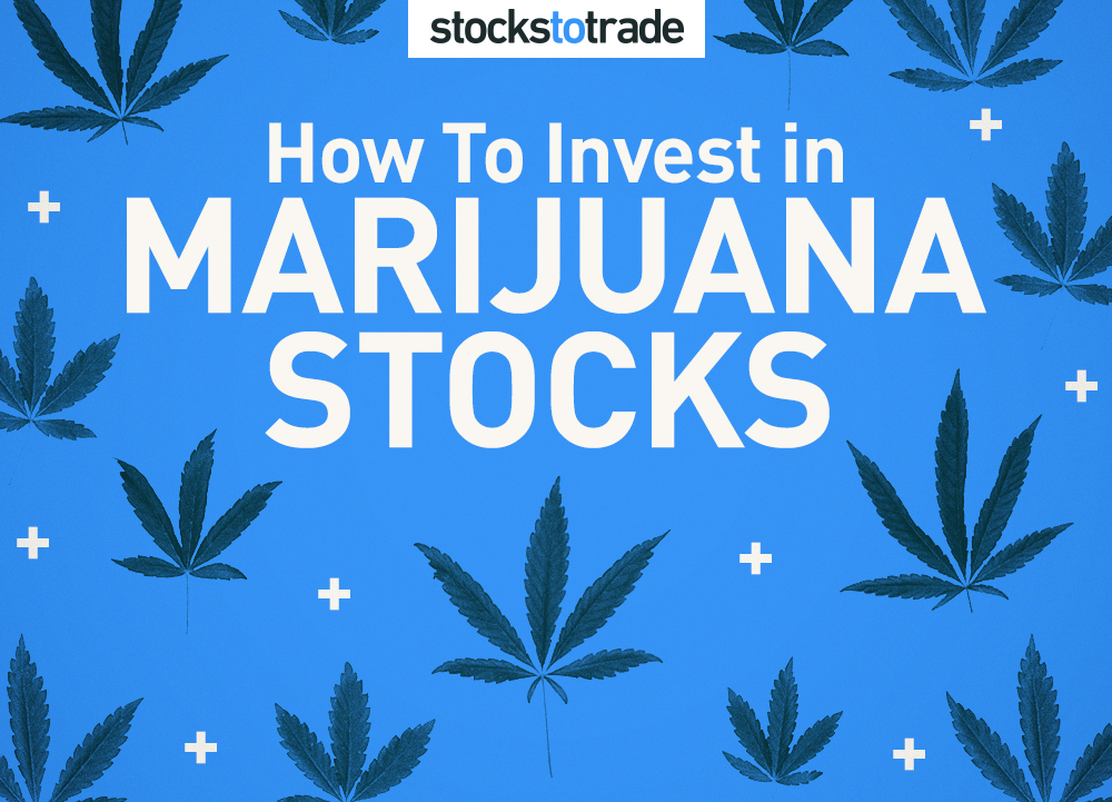 How to Invest in Marijuana Stocks Finance 911